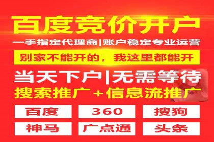 成功案例分享：托管竞价SEM优化策略